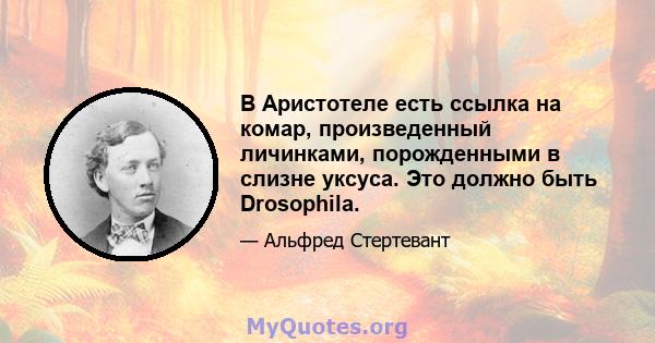 В Аристотеле есть ссылка на комар, произведенный личинками, порожденными в слизне уксуса. Это должно быть Drosophila.