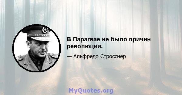 В Парагвае не было причин революции.