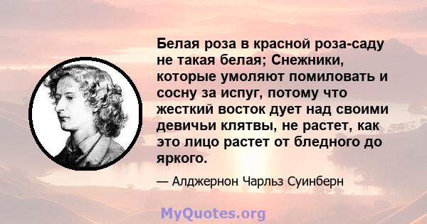 Белая роза в красной роза-саду не такая белая; Снежники, которые умоляют помиловать и сосну за испуг, потому что жесткий восток дует над своими девичьи клятвы, не растет, как это лицо растет от бледного до яркого.