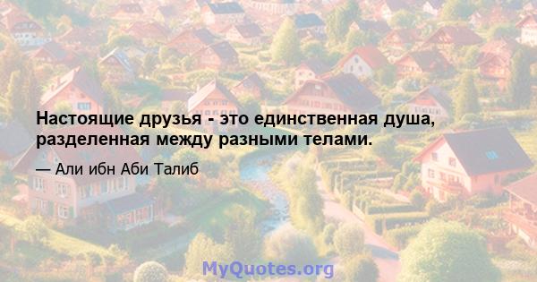 Настоящие друзья - это единственная душа, разделенная между разными телами.