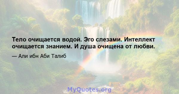 Тело очищается водой. Эго слезами. Интеллект очищается знанием. И душа очищена от любви.