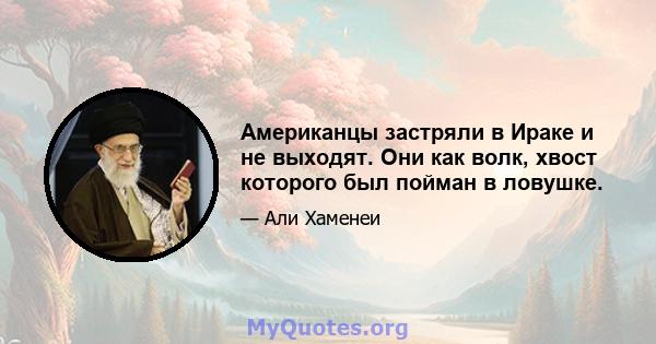 Американцы застряли в Ираке и не выходят. Они как волк, хвост которого был пойман в ловушке.