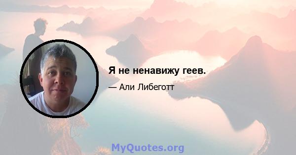 Я не ненавижу геев.