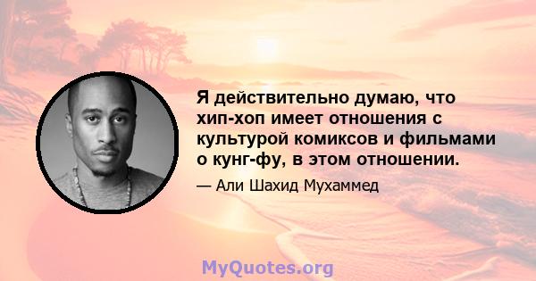 Я действительно думаю, что хип-хоп имеет отношения с культурой комиксов и фильмами о кунг-фу, в этом отношении.