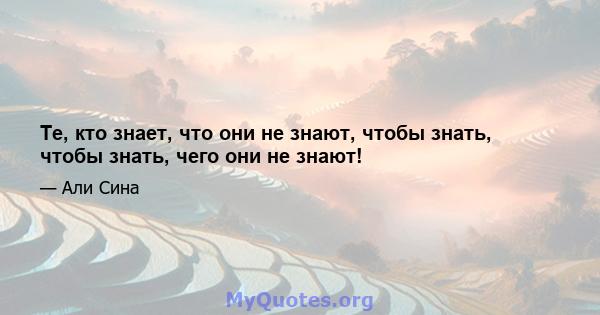 Те, кто знает, что они не знают, чтобы знать, чтобы знать, чего они не знают!