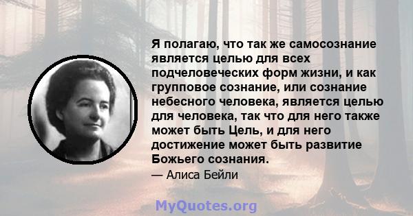 Я полагаю, что так же самосознание является целью для всех подчеловеческих форм жизни, и как групповое сознание, или сознание небесного человека, является целью для человека, так что для него также может быть Цель, и