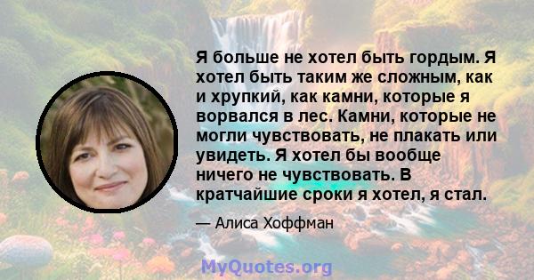 Я больше не хотел быть гордым. Я хотел быть таким же сложным, как и хрупкий, как камни, которые я ворвался в лес. Камни, которые не могли чувствовать, не плакать или увидеть. Я хотел бы вообще ничего не чувствовать. В