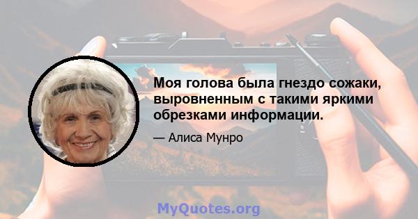 Моя голова была гнездо сожаки, выровненным с такими яркими обрезками информации.