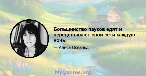 Большинство пауков едят и переделывают свои сети каждую ночь.