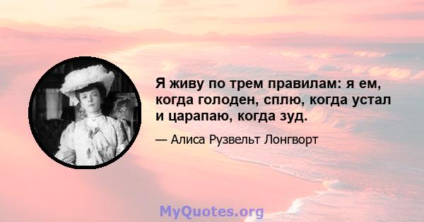 Я живу по трем правилам: я ем, когда голоден, сплю, когда устал и царапаю, когда зуд.