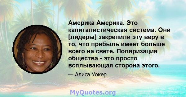 Америка Америка. Это капиталистическая система. Они [лидеры] закрепили эту веру в то, что прибыль имеет больше всего на свете. Поляризация общества - это просто всплывающая сторона этого.