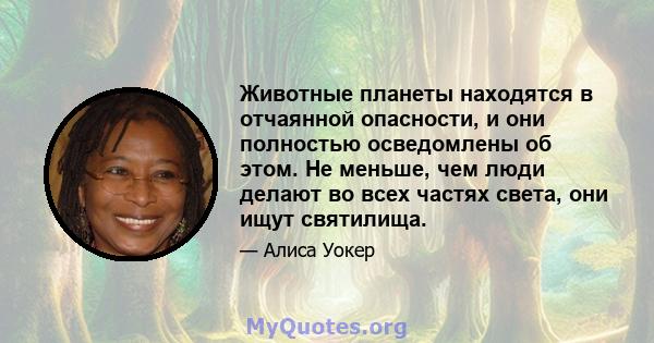 Животные планеты находятся в отчаянной опасности, и они полностью осведомлены об этом. Не меньше, чем люди делают во всех частях света, они ищут святилища.