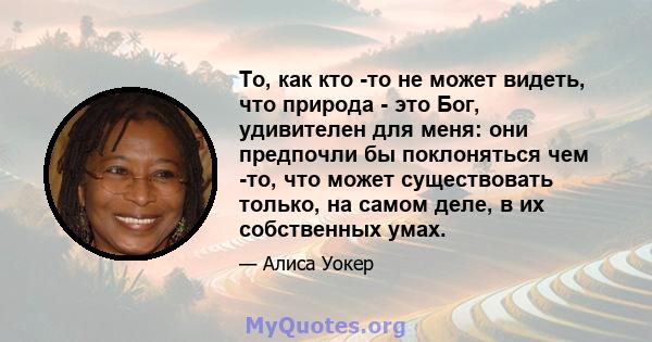 То, как кто -то не может видеть, что природа - это Бог, удивителен для меня: они предпочли бы поклоняться чем -то, что может существовать только, на самом деле, в их собственных умах.