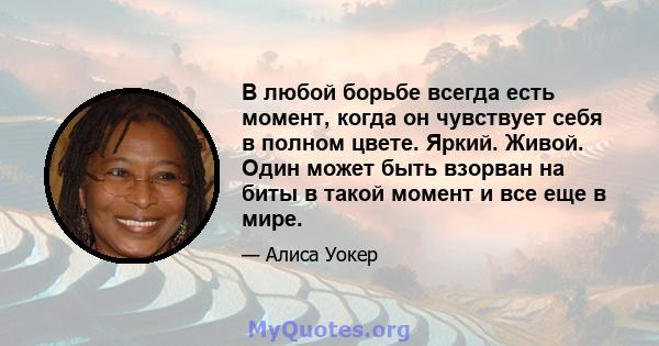 В любой борьбе всегда есть момент, когда он чувствует себя в полном цвете. Яркий. Живой. Один может быть взорван на биты в такой момент и все еще в мире.