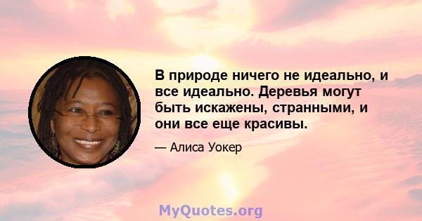 В природе ничего не идеально, и все идеально. Деревья могут быть искажены, странными, и они все еще красивы.