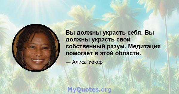 Вы должны украсть себя. Вы должны украсть свой собственный разум. Медитация помогает в этой области.