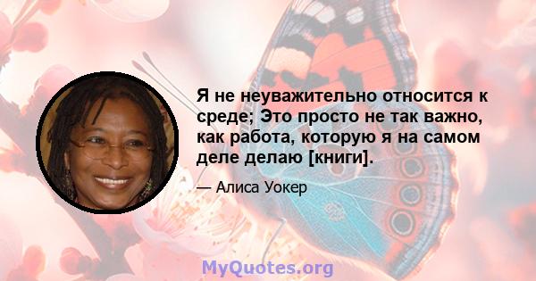 Я не неуважительно относится к среде; Это просто не так важно, как работа, которую я на самом деле делаю [книги].