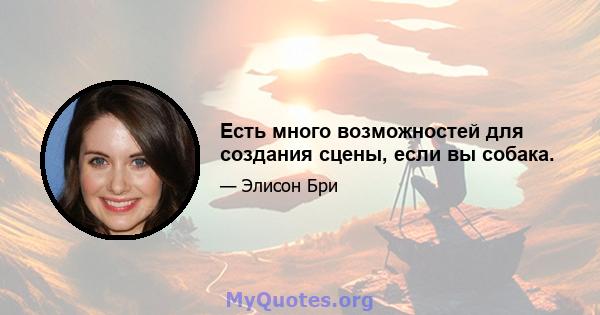 Есть много возможностей для создания сцены, если вы собака.