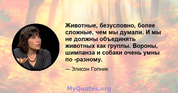 Животные, безусловно, более сложные, чем мы думали. И мы не должны объединять животных как группы. Вороны, шимпанза и собаки очень умны по -разному.