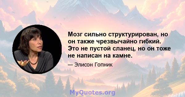 Мозг сильно структурирован, но он также чрезвычайно гибкий. Это не пустой сланец, но он тоже не написан на камне.