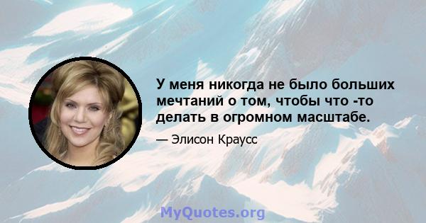 У меня никогда не было больших мечтаний о том, чтобы что -то делать в огромном масштабе.