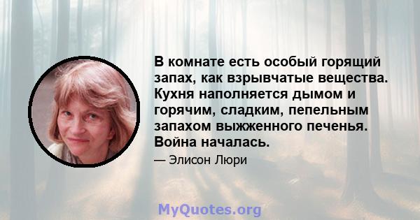 В комнате есть особый горящий запах, как взрывчатые вещества. Кухня наполняется дымом и горячим, сладким, пепельным запахом выжженного печенья. Война началась.