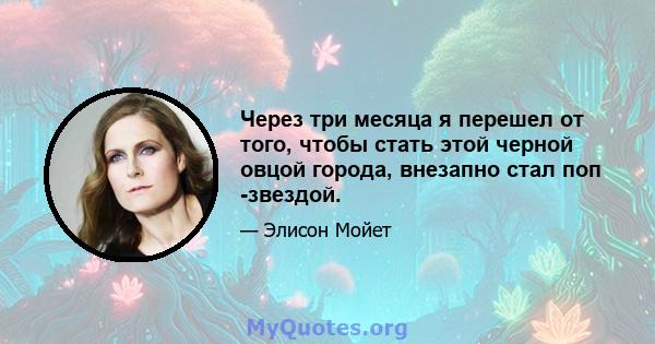 Через три месяца я перешел от того, чтобы стать этой черной овцой города, внезапно стал поп -звездой.