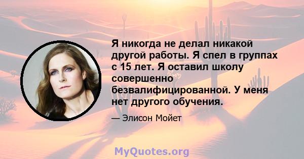 Я никогда не делал никакой другой работы. Я спел в группах с 15 лет. Я оставил школу совершенно безвалифицированной. У меня нет другого обучения.