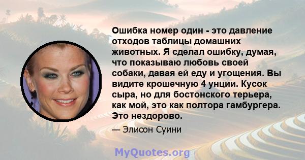 Ошибка номер один - это давление отходов таблицы домашних животных. Я сделал ошибку, думая, что показываю любовь своей собаки, давая ей еду и угощения. Вы видите крошечную 4 унции. Кусок сыра, но для бостонского