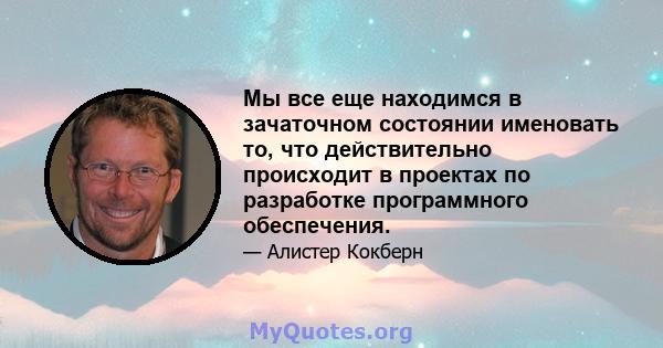 Мы все еще находимся в зачаточном состоянии именовать то, что действительно происходит в проектах по разработке программного обеспечения.