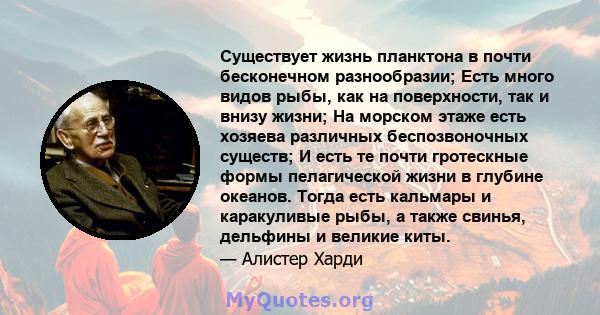 Существует жизнь планктона в почти бесконечном разнообразии; Есть много видов рыбы, как на поверхности, так и внизу жизни; На морском этаже есть хозяева различных беспозвоночных существ; И есть те почти гротескные формы 