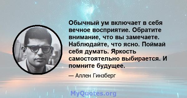 Обычный ум включает в себя вечное восприятие. Обратите внимание, что вы замечаете. Наблюдайте, что ясно. Поймай себя думать. Яркость самостоятельно выбирается. И помните будущее.