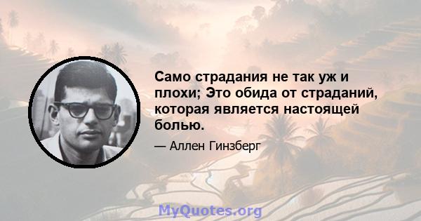 Само страдания не так уж и плохи; Это обида от страданий, которая является настоящей болью.