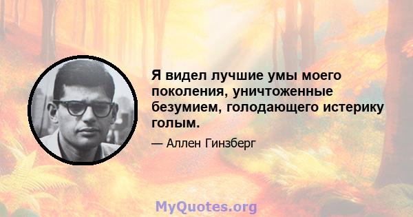 Я видел лучшие умы моего поколения, уничтоженные безумием, голодающего истерику голым.