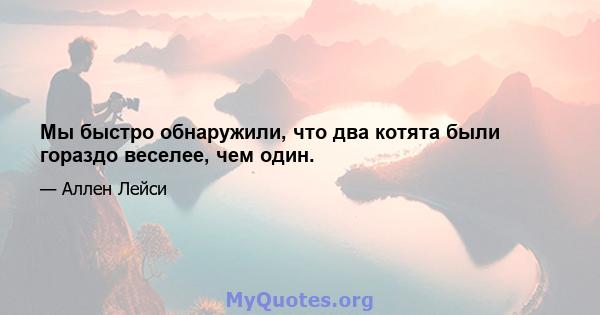 Мы быстро обнаружили, что два котята были гораздо веселее, чем один.