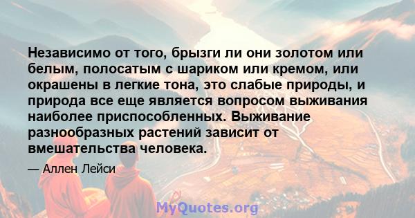 Независимо от того, брызги ли они золотом или белым, полосатым с шариком или кремом, или окрашены в легкие тона, это слабые природы, и природа все еще является вопросом выживания наиболее приспособленных. Выживание