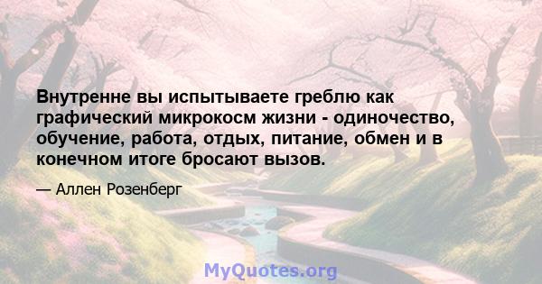 Внутренне вы испытываете греблю как графический микрокосм жизни - одиночество, обучение, работа, отдых, питание, обмен и в конечном итоге бросают вызов.