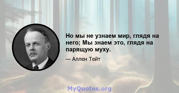 Но мы не узнаем мир, глядя на него; Мы знаем это, глядя на парящую муху.