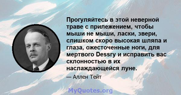 Прогуляйтесь в этой неверной траве с прилежением, чтобы мыши не мыши, ласки, звери, слишком скоро высокая шляпа и глаза, ожесточенные ноги, для мертвого Dessry и исправить вас склонностью в их наслаждающейся луне.