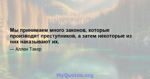 Мы принимаем много законов, которые производят преступников, а затем некоторые из них наказывают их.