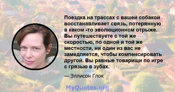 Поездка на трассах с вашей собакой восстанавливает связь, потерянную в каком -то эволюционном отрыже. Вы путешествуете с той же скоростью, по одной и той же местности, ни один из вас не замедляется, чтобы компенсировать 