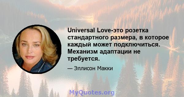 Universal Love-это розетка стандартного размера, в которое каждый может подключиться. Механизм адаптации не требуется.