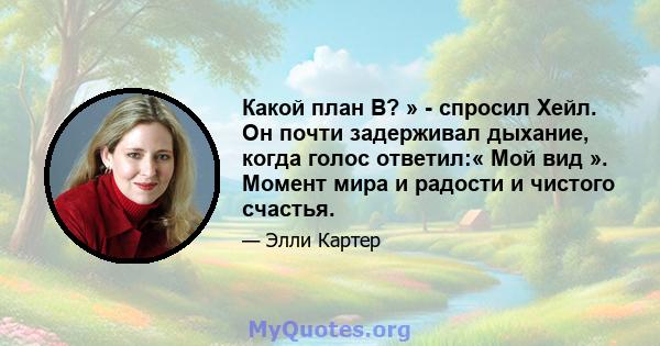 Какой план B? » - спросил Хейл. Он почти задерживал дыхание, когда голос ответил:« Мой вид ». Момент мира и радости и чистого счастья.