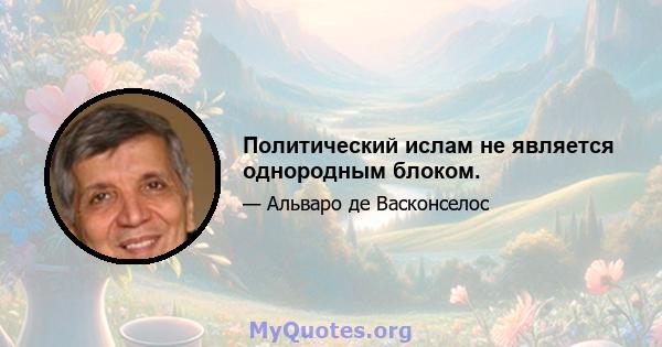 Политический ислам не является однородным блоком.