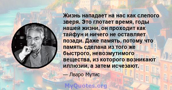 Жизнь нападает на нас как слепого зверя. Это глотает время, годы нашей жизни, он проходит как тайфун и ничего не оставляет позади. Даже память, потому что память сделана из того же быстрого, невозмутимого вещества, из