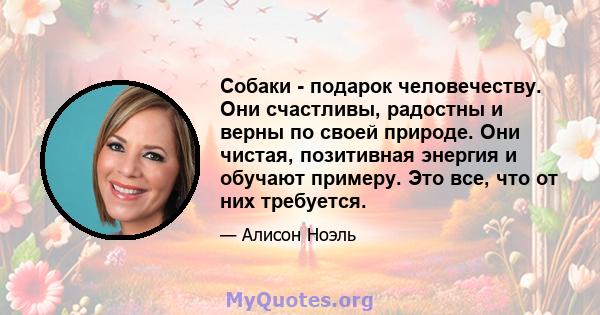 Собаки - подарок человечеству. Они счастливы, радостны и верны по своей природе. Они чистая, позитивная энергия и обучают примеру. Это все, что от них требуется.