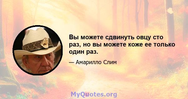 Вы можете сдвинуть овцу сто раз, но вы можете коже ее только один раз.