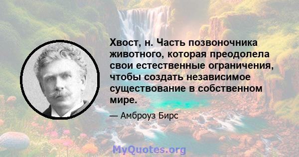 Хвост, н. Часть позвоночника животного, которая преодолела свои естественные ограничения, чтобы создать независимое существование в собственном мире.