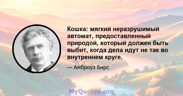 Кошка: мягкий неразрушимый автомат, предоставленный природой, который должен быть выбит, когда дела идут не так во внутреннем круге.