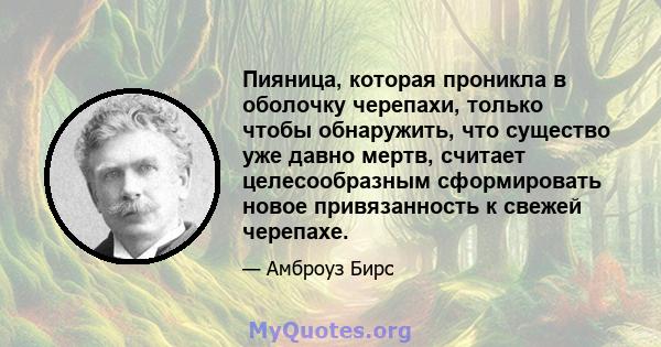 Пияница, которая проникла в оболочку черепахи, только чтобы обнаружить, что существо уже давно мертв, считает целесообразным сформировать новое привязанность к свежей черепахе.